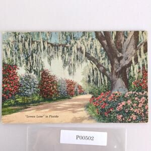 Lover's Lane in Florida 1940s Linen Postcard FL PC 1945 Starke Tropical